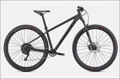 specialized elite29