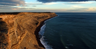 peninsula-valdes-patagonia-argentina22